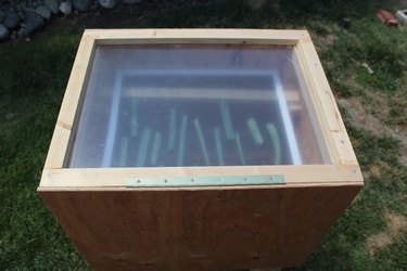 Dehydrating some onions.