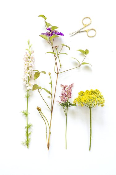 cut flower stems