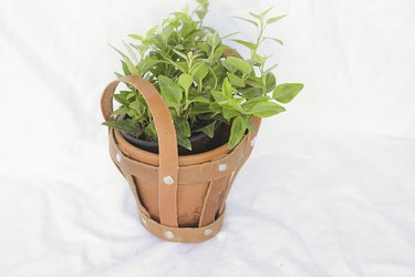 Finished small planter holder.