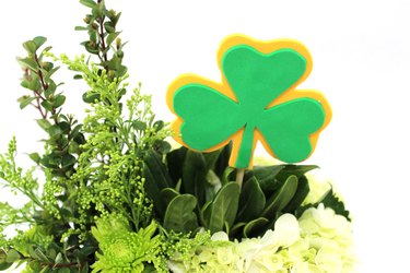 shamrock