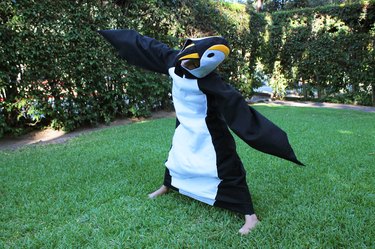 Your little penguin is ready to go!