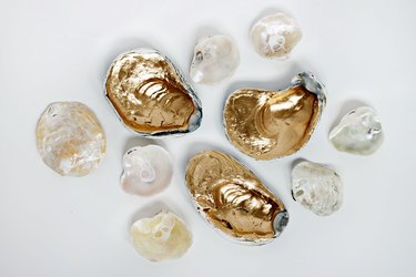 Oyster shell finished result