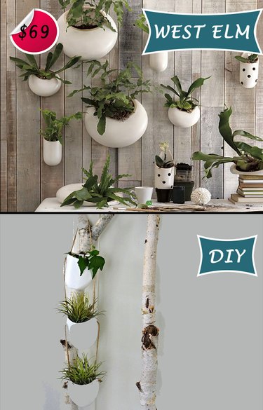 Hanging Planters