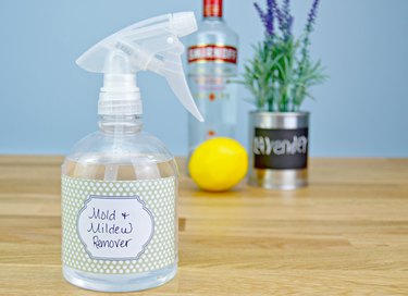 how to kill mold with vodka