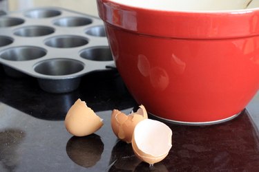 egg shells