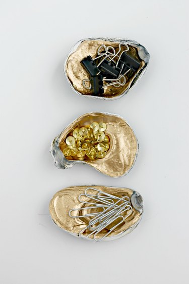 Oyster shell office organization