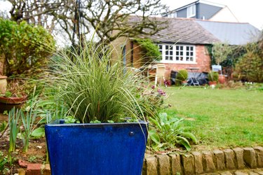 Back garden or yard with potted plants lawn and flower beds
