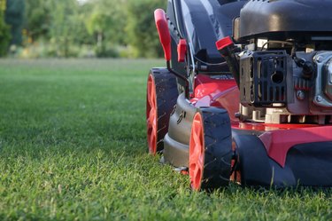 Red lawn mower on the meadow, close up