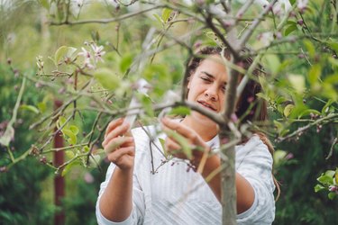 Woman reading tree labels in garden, surrounded by greenery