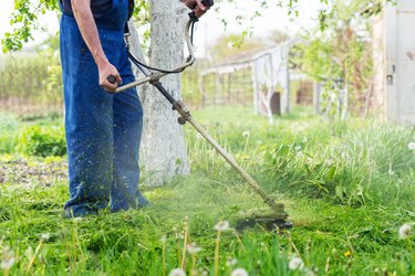 The gardener mows the grass with a trimmer in the spring garden