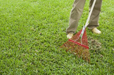 Person raking lawn, low section