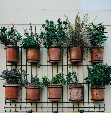 Many pots with plants on the outside wall of the house for decoration