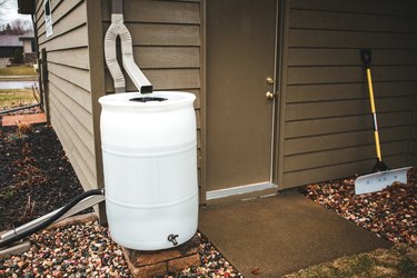 Rain Barrel