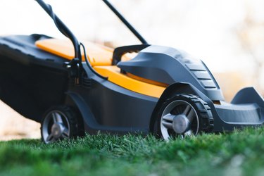 Electric lawn mower on a lawn at the garden. Gardening concept