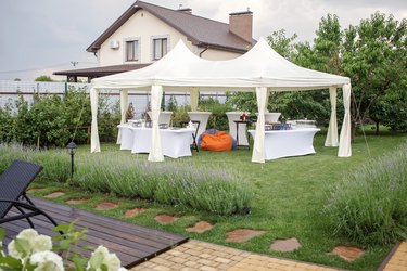 Backyard barbeque party at summer, elegant decoration, luxury catering, tasty and beautiful food