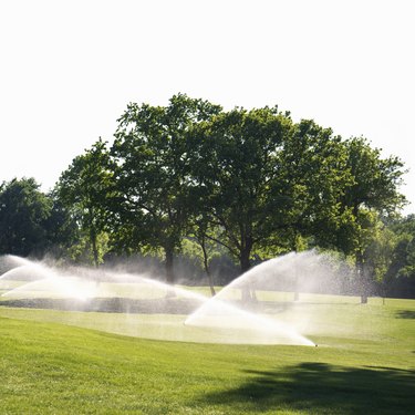 Beautiful morning light in public park with green grass field