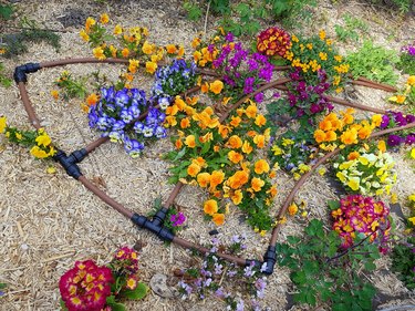 Irrigation system for automatic flower watering and mulch in the garden