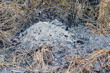 a pile of extinct fire from gray black ash