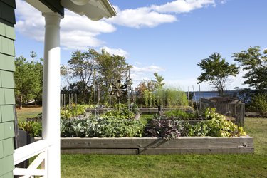 Well organized and maintained raised vegetable garden by the lake