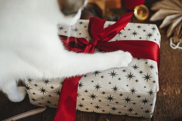 Cute kitten paws on stylish christmas gift with red ribbon and festive holiday decorations on rustic wooden table. Pet and winter holidays. Adorable cat helps wrapping xmas present. Happy holidays