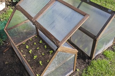Cloches