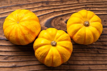 Mini pumpkin (Puccini)