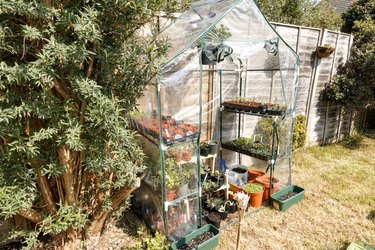 Garden greenhouse