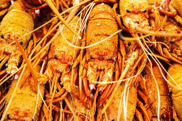 Sydneysiders Stock Up For Christmas During Annual Sydney Fish Market Seafood Marathon