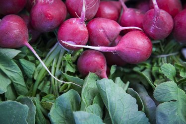 Close up of turnips
