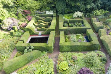View over the main hedge gardens with hedges of clipped yew containing smaller gardens