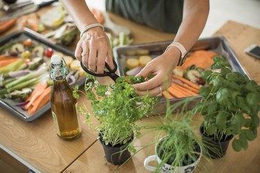 Healthy vegetables meal preparation