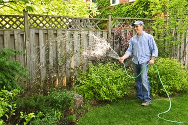 Man watering garden