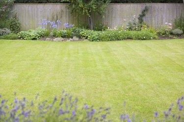 Large lawn with small flower beds