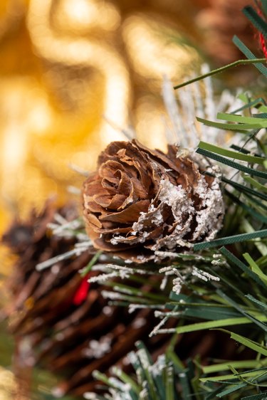 How to Make Pine Cones Open