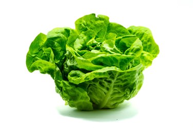 Green lettuce isolated on white background