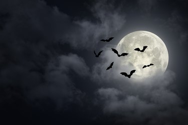 Spooky Halloween Sky