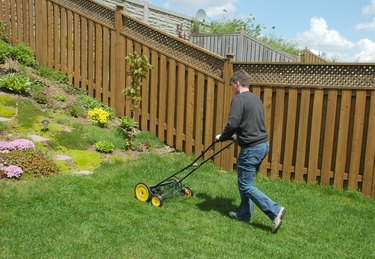 Yard work