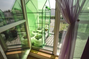Close-up view of small greenhouse with tomato plants on balcony.