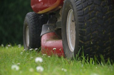 Lawn