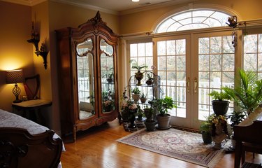 Armoire and Houseplants