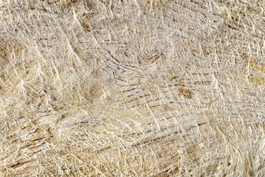 Saltpeter over old wood