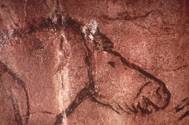 Prehistoric Cave Art Of Horse, France.