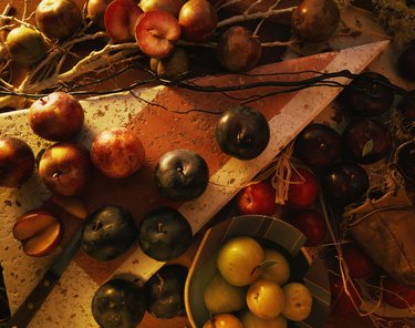 Twigs around assorted plums