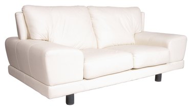 23805313
