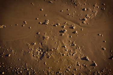 Mud