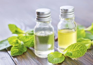 mint oil