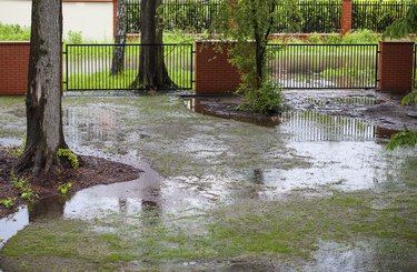 Spring flood