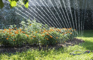 Sprinkler