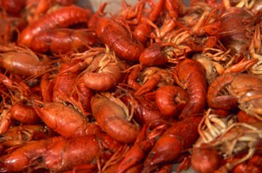 Crawfish are the State Crustacean of Louisiana.