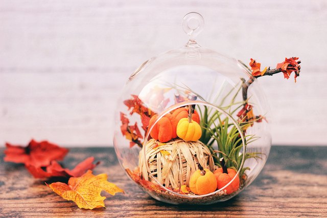 DIY Autumn Scene Terrarium | ehow